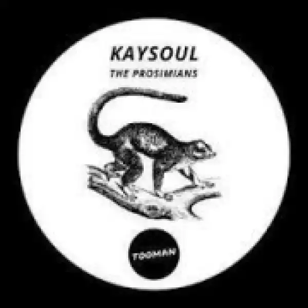 Kaysoul - Venice (Original Mix)